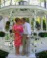 WEDDING MINISTER 4 U GAZEBO